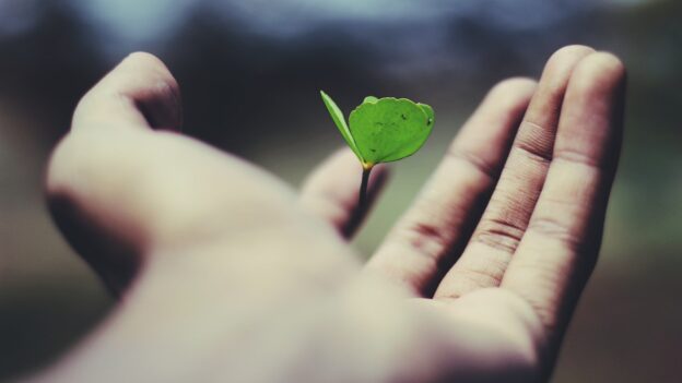 如何拥有一个稳定的个人评价体系 - 1 floating green leaf plant on person's hand