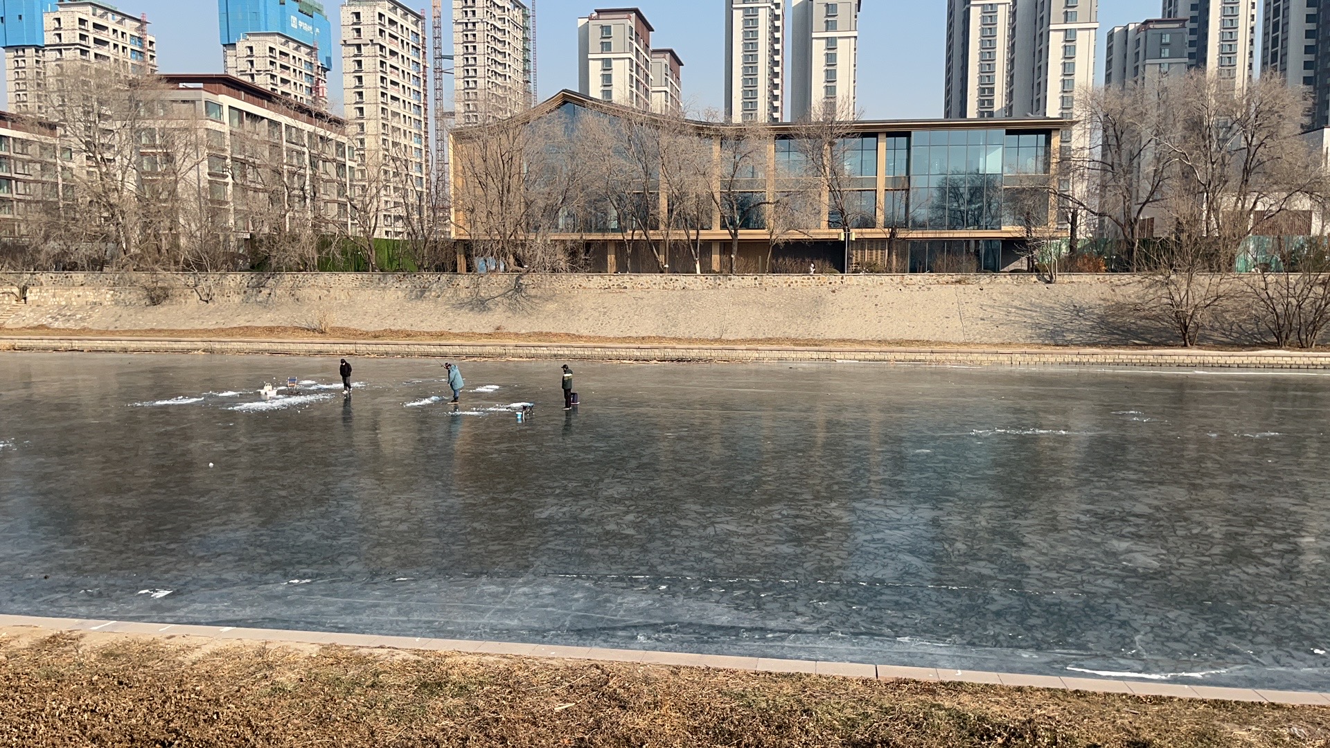 天津日常 - 8 9d913cbfb1085759c1fd5b53a5162621