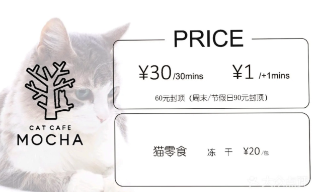 Mocha 猫咖分析 — 有趣的商业形态(上) - 11 d2b5ca33bd970f64a6301fa75ae2eb22 10