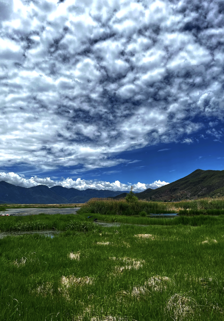 d2b5ca33bd970f64a6301fa75ae2eb22 10