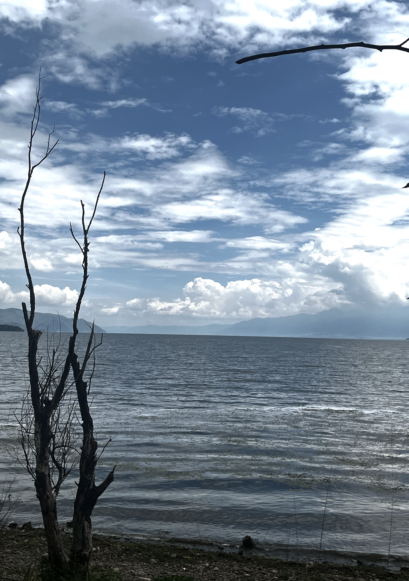 d2b5ca33bd970f64a6301fa75ae2eb22 8