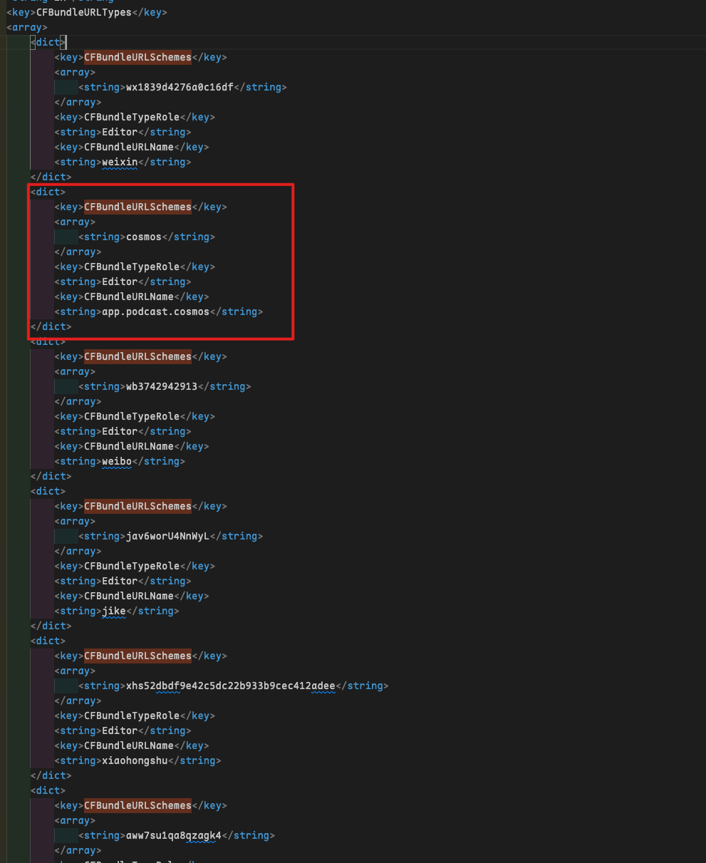 记一次发现小宇宙 iOS 版的跳转注入漏洞 - 21 image
