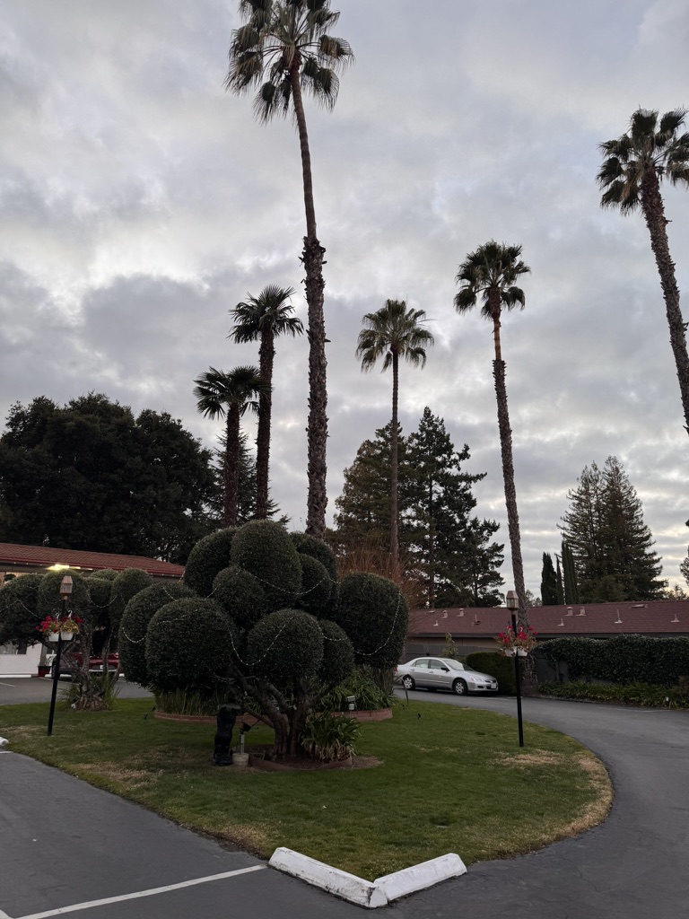 8A514014 7FC7 4FA7 A7CB F63A4B3D72D5 1 105 c