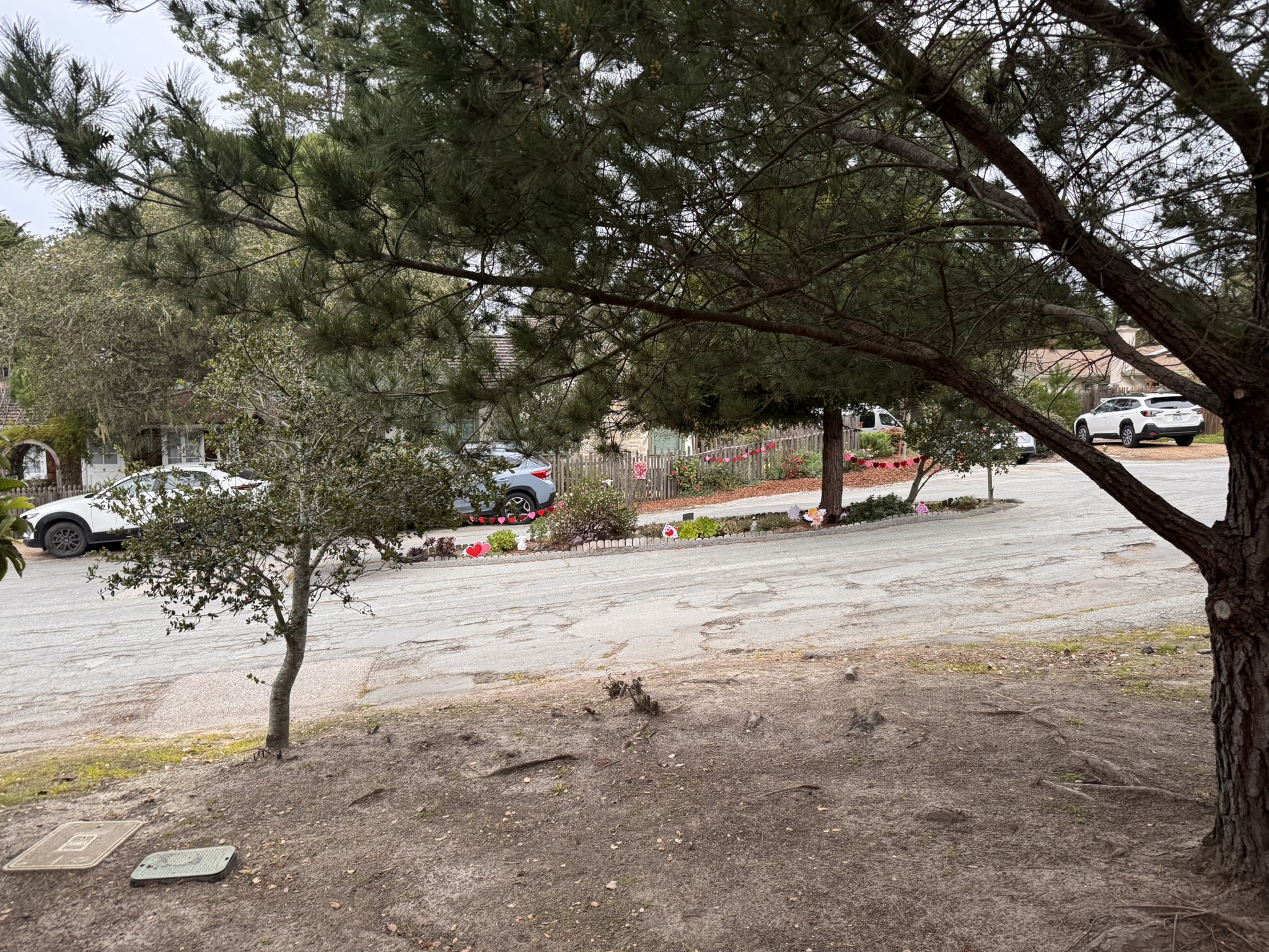 美国之旅 Day 4:Stanford University - 35 7D2D411E 920E 45A8 AA9B 12A954F3E029 1 102 o