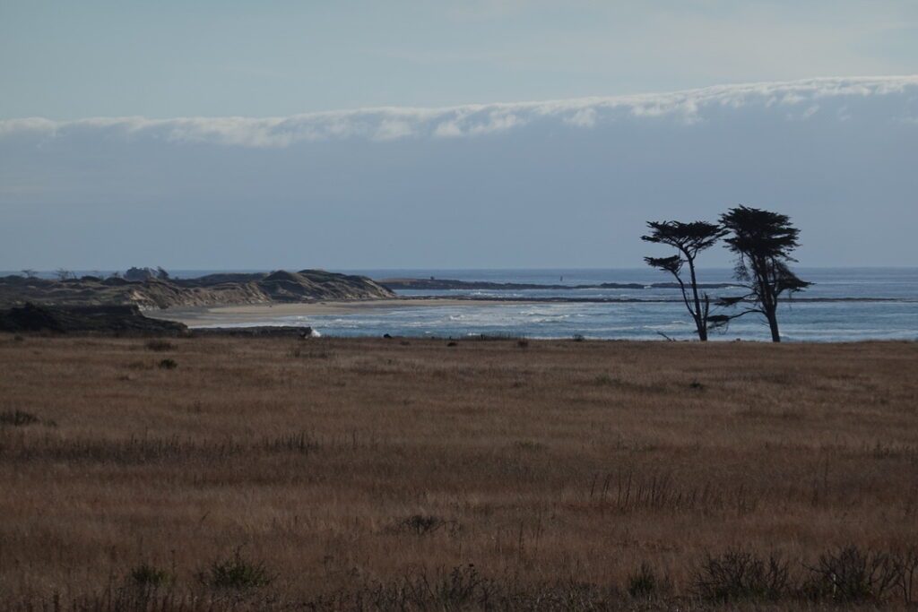 17D3AFB4 15B3 462B AB75 27D59A2189E1 1 105 c