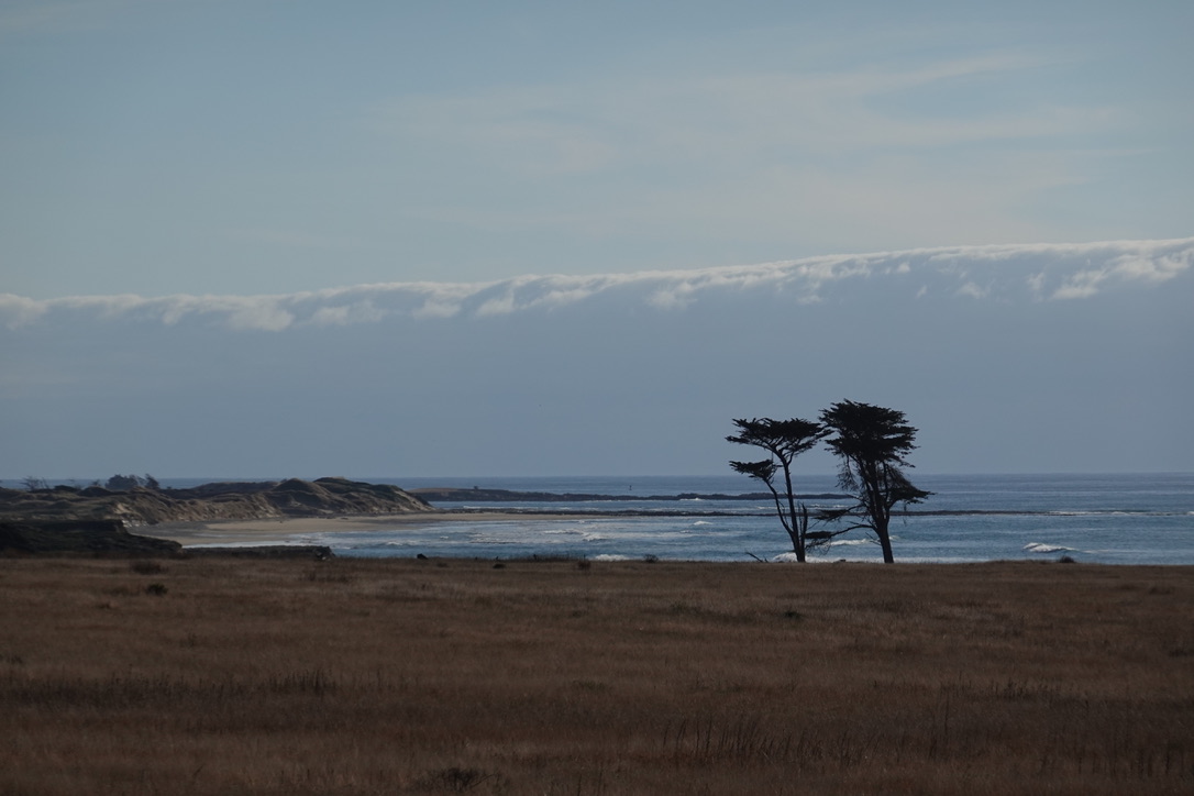 美国之旅 Day 4:Stanford University - 16 83B382F0 83A2 443B B552 C1E116E529D4 1 105 c