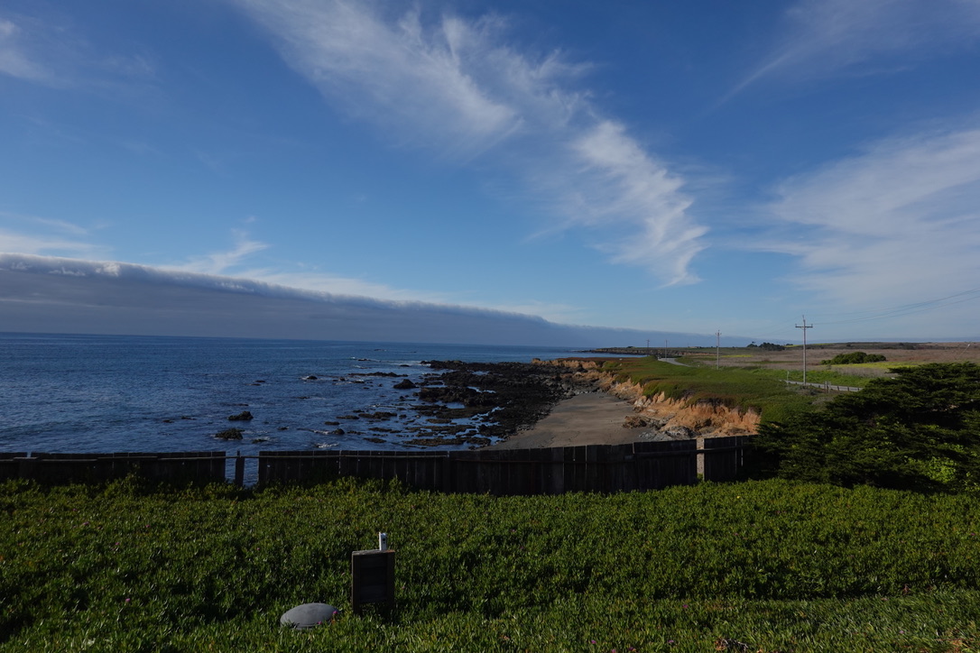 美国之旅 Day 4:Stanford University - 22 BDEFD579 2652 442B 8D6D FF384F0FCD68 1 105 c