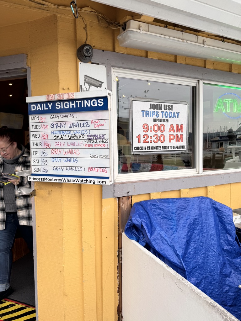 美国之旅 Day 5: Gray Whale - 3 24F03DBC 7A75 4055 8737 65613667371F 1 105 c