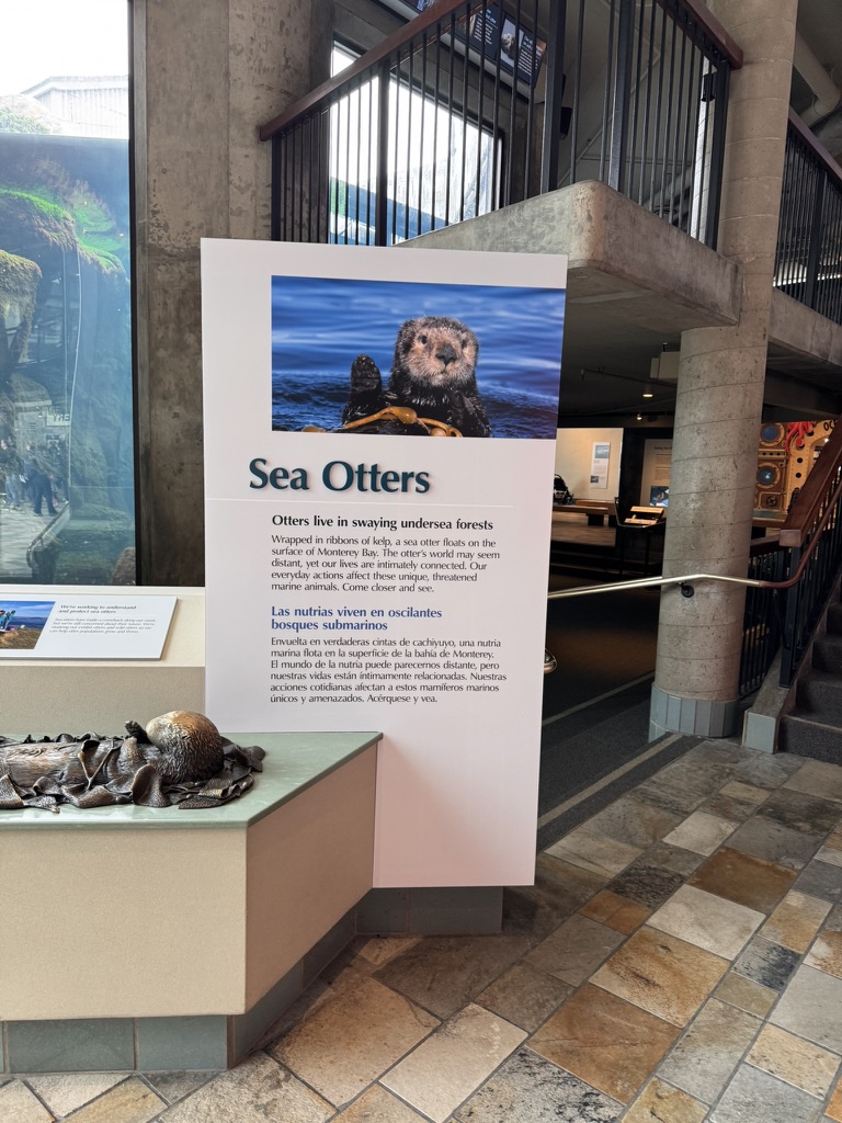 美国之旅 Day 5: Gray Whale - 8 0D099E49 9D7D 41E1 8F3F 575F63B6539D 1 105 c