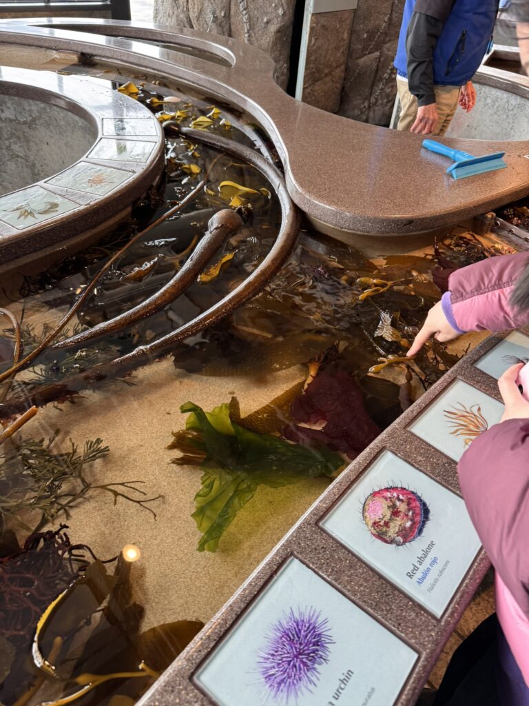 30A2A3B0 CA13 4026 B393 B1E3ADD7A0B9 1 102 o