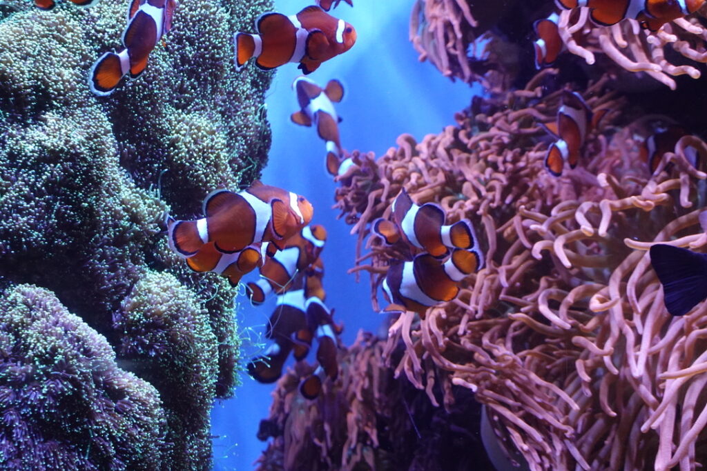 2BF1D8DE 36B5 42B9 BE6A FF6FD180F910 1 105 c