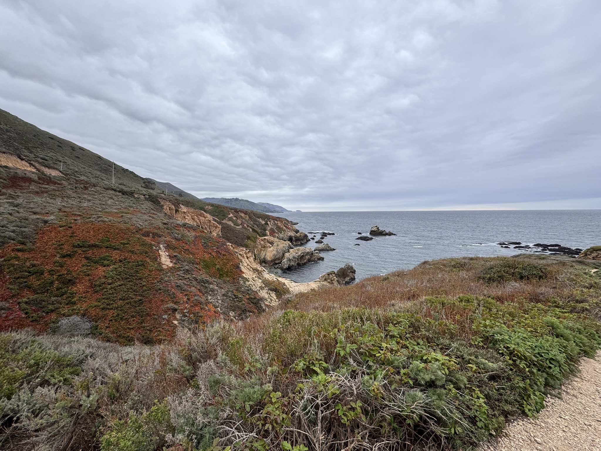 美国之旅 Day 5: Gray Whale - 13 89AB0E7C ED55 4B7F 86D3 06D922F87E7C 1 102 o