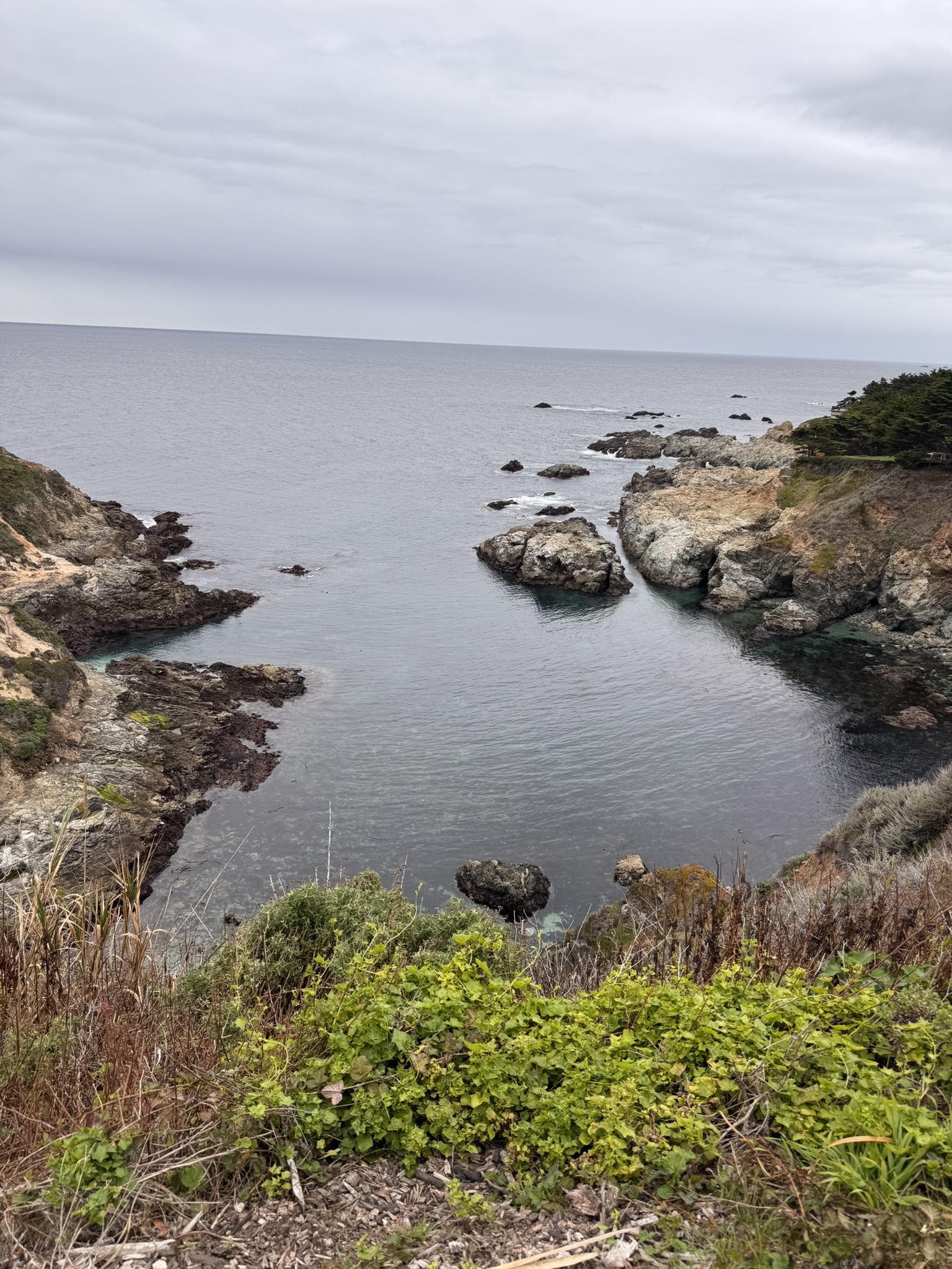 美国之旅 Day 5: Gray Whale - 14 C859EB01 98EA 47D5 8B76 A267C014302E 1 102 o