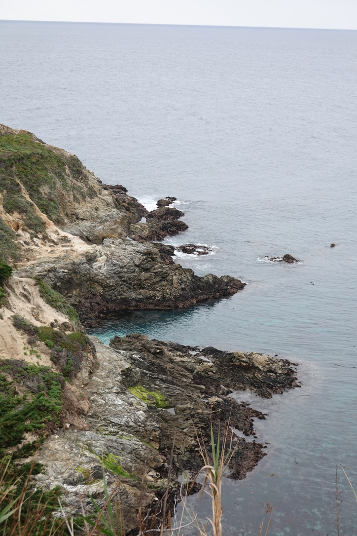 美国之旅 Day 5: Gray Whale - 15 D7EA4887 3C64 4266 83A7 736F80552B9D 1 105 c