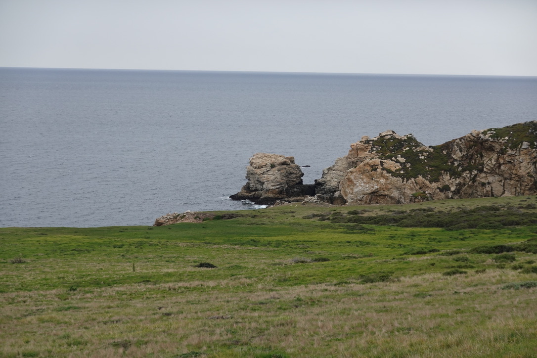 美国之旅 Day 5: Gray Whale - 16 28C44F93 00C0 4031 9829 AFCE5147D3E0 1 105 c