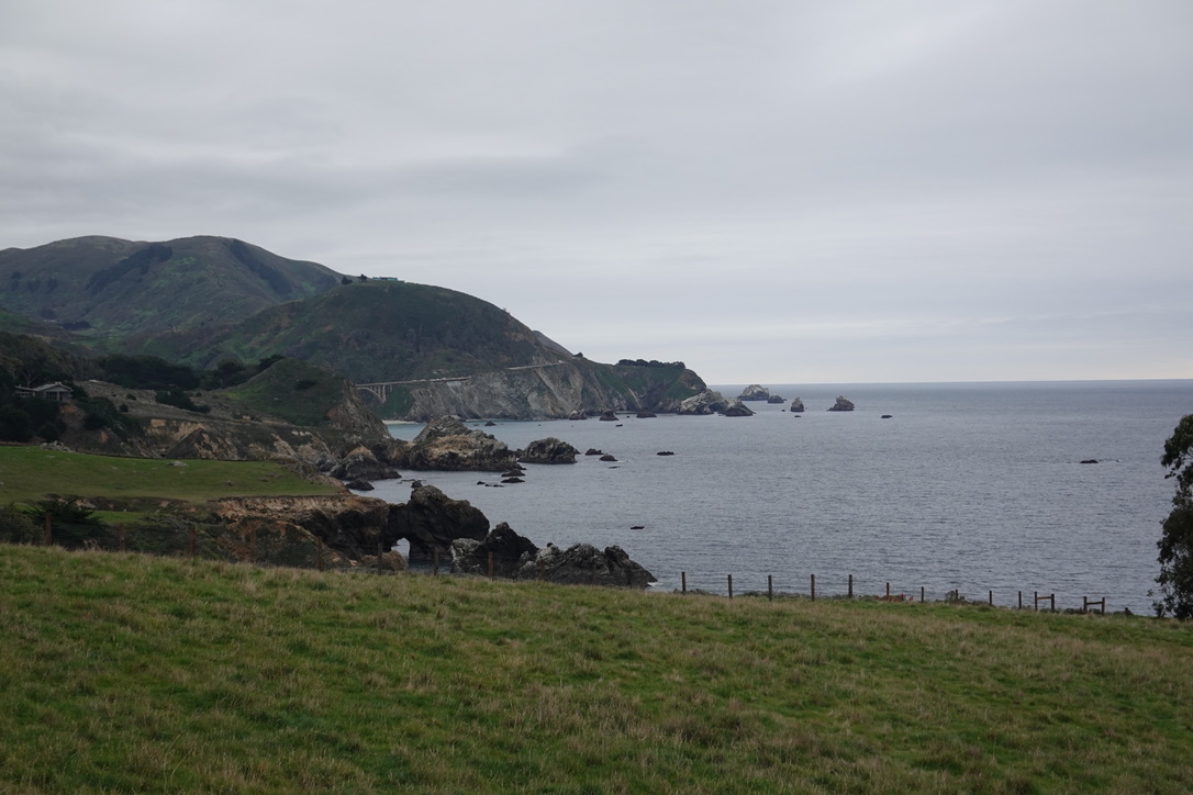 美国之旅 Day 5: Gray Whale - 17 76EEEA0A E197 48AE B6A1 B5234E874D65 1 105 c