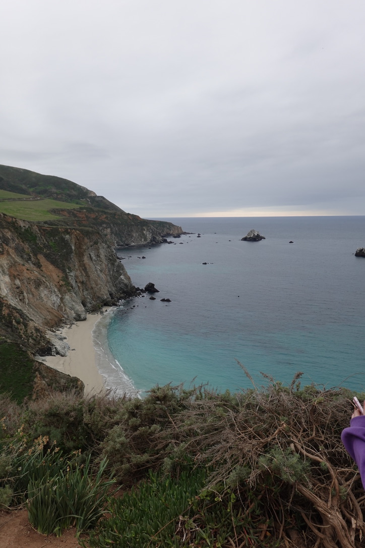 美国之旅 Day 5: Gray Whale - 19 42CB7FD6 1E8A 4897 9018 7288347B8F18 1 105 c