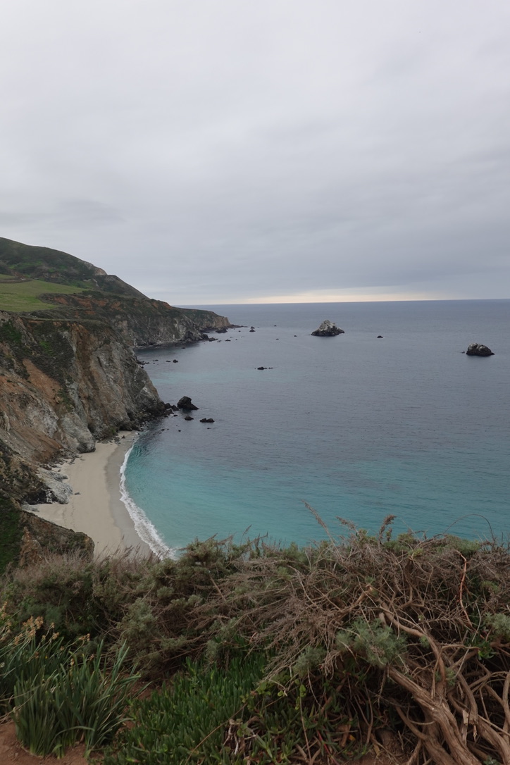 美国之旅 Day 5: Gray Whale - 20 A612ABDC 1AC0 4118 A118 1316D9432BEB 1 105 c