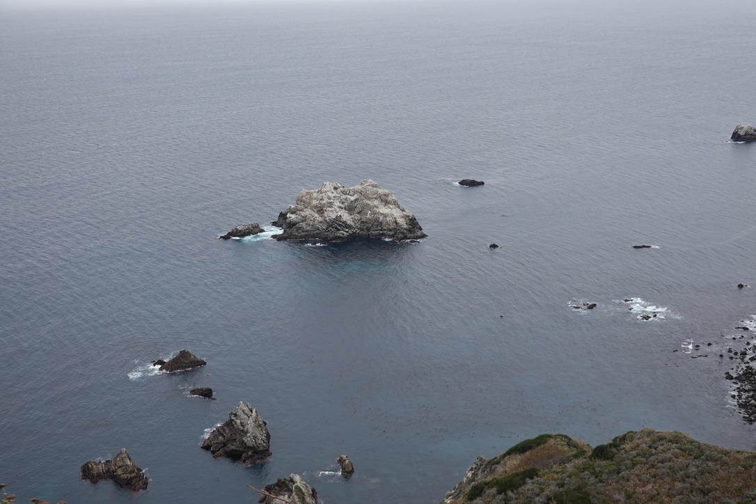 美国之旅 Day 5: Gray Whale - 22 975207E1 FBDD 4A3D A41C 4F8528C8E0A2 1 105 c