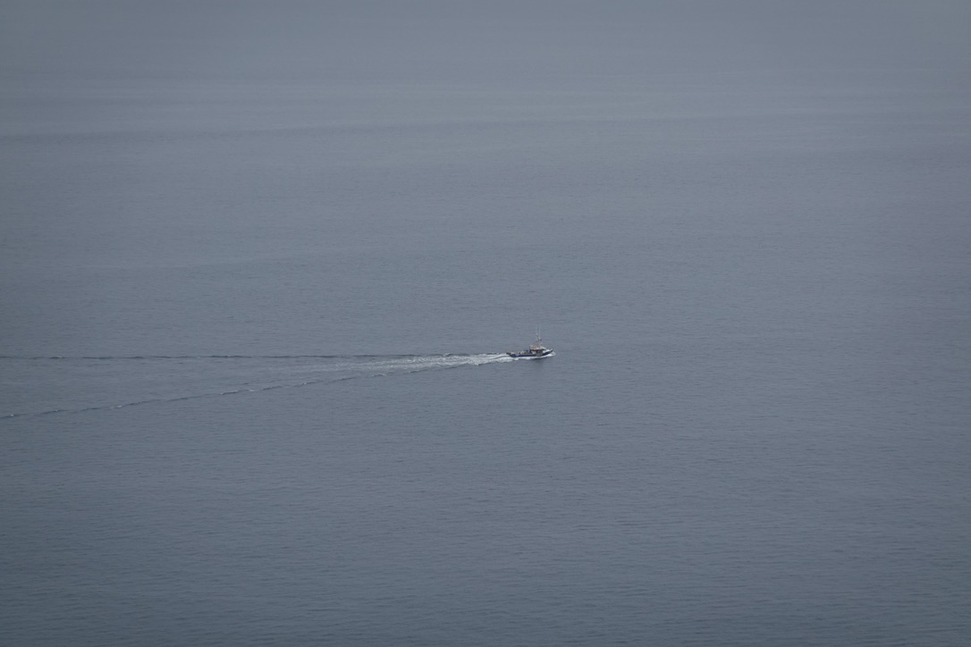 美国之旅 Day 5: Gray Whale - 25 6172FD0A 11CD 42EF B848 93EA075CF0E7 1 105 c