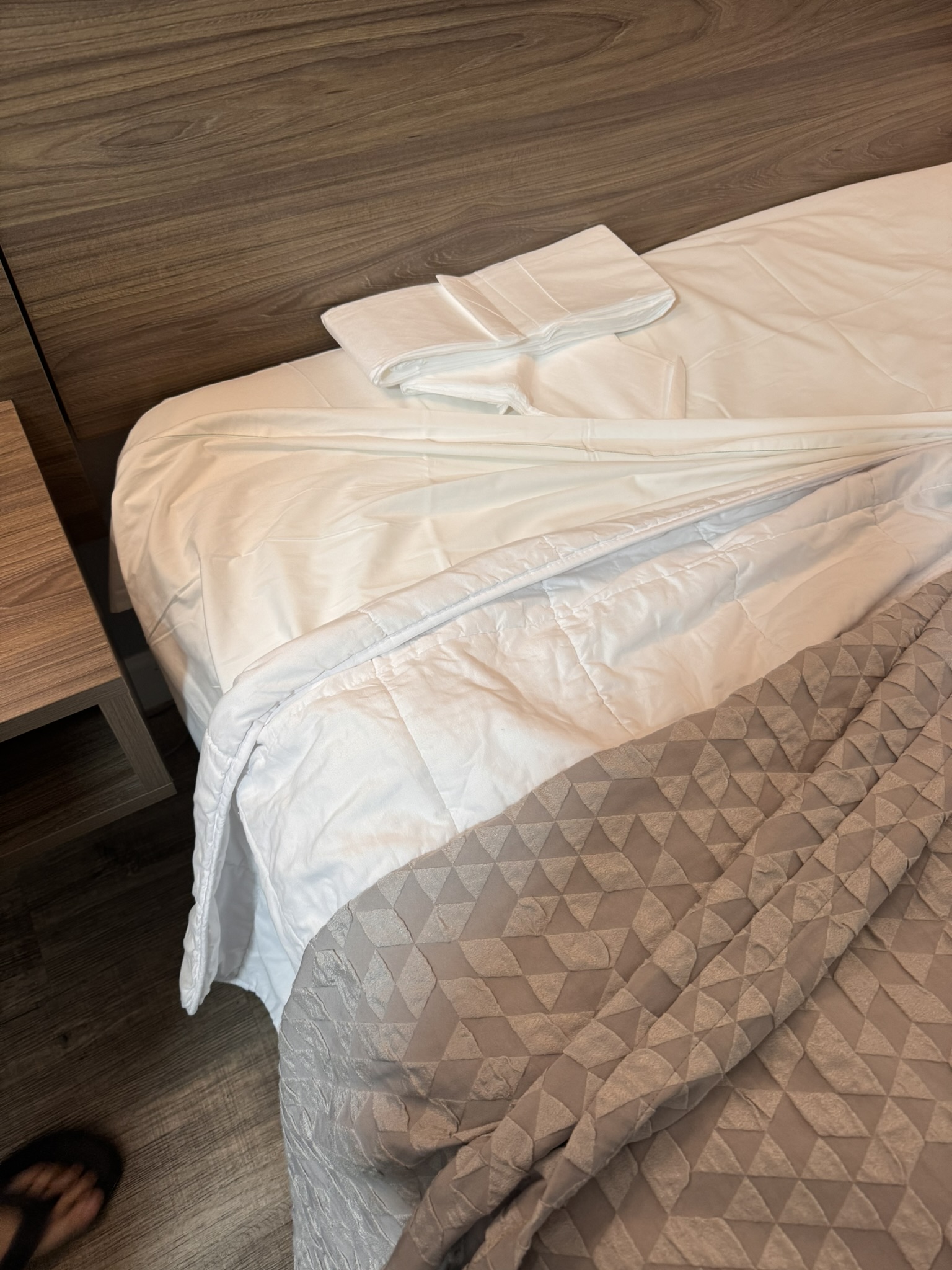 美国之旅 Day 5: Gray Whale - 30 B6D2C714 50C6 4D69 9CC7 98D413D1D6BE 1 102 o