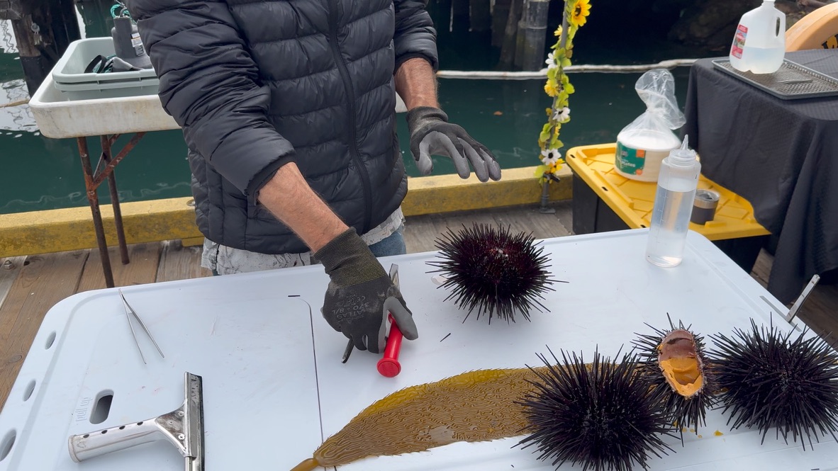 89614685 63BB 44ED A7C6 425309AD7124 1 105 c