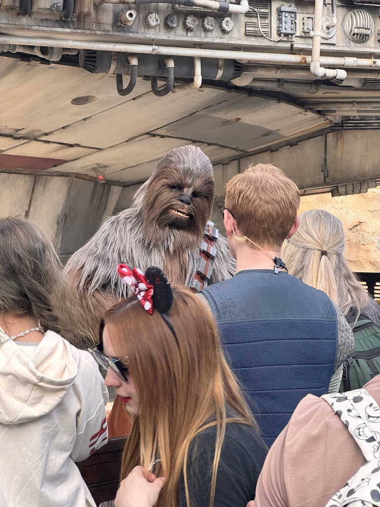 美国之旅 Day 8: Lighting Lane - 66 B37BC1C2 6898 411F B624 05F359B6345A 1 105 c