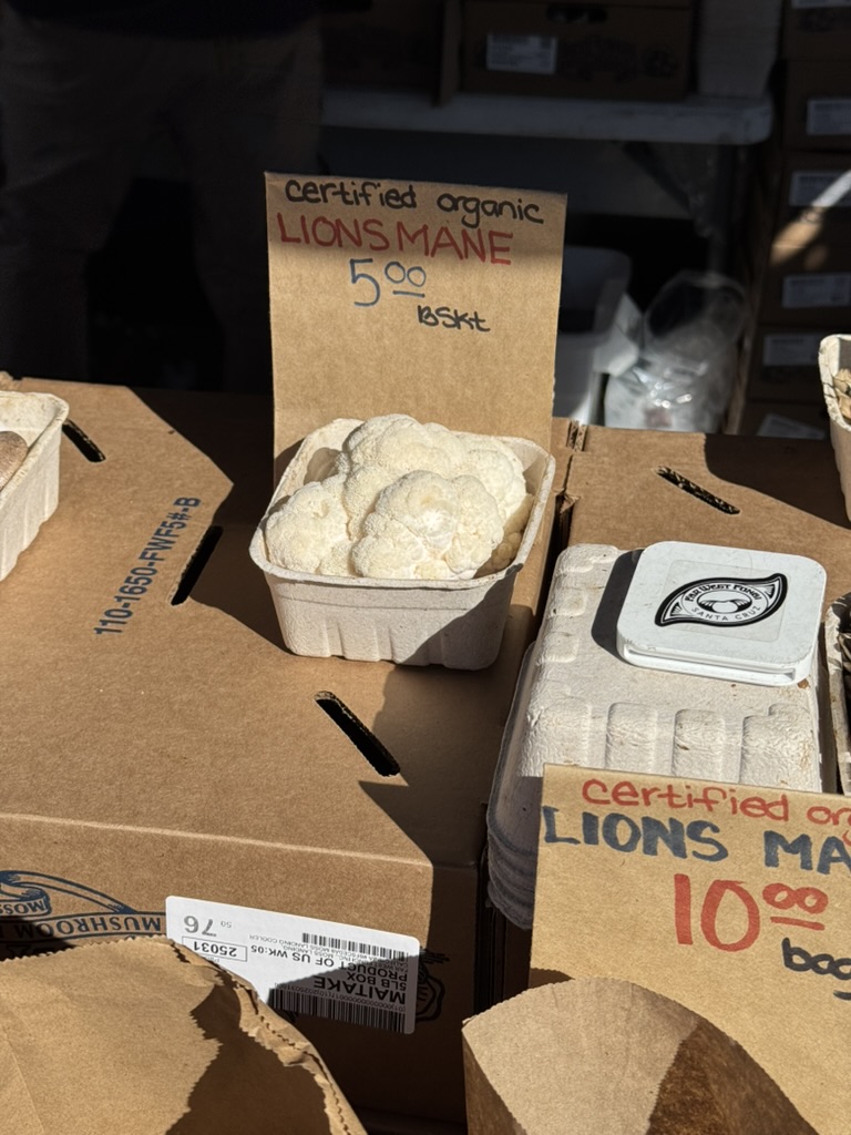 美国之旅 Day 14:Buy Buy Buy - 8 D0B2ECF4 F4A1 432F 9B66 5D99707A2F7B 1 105 c