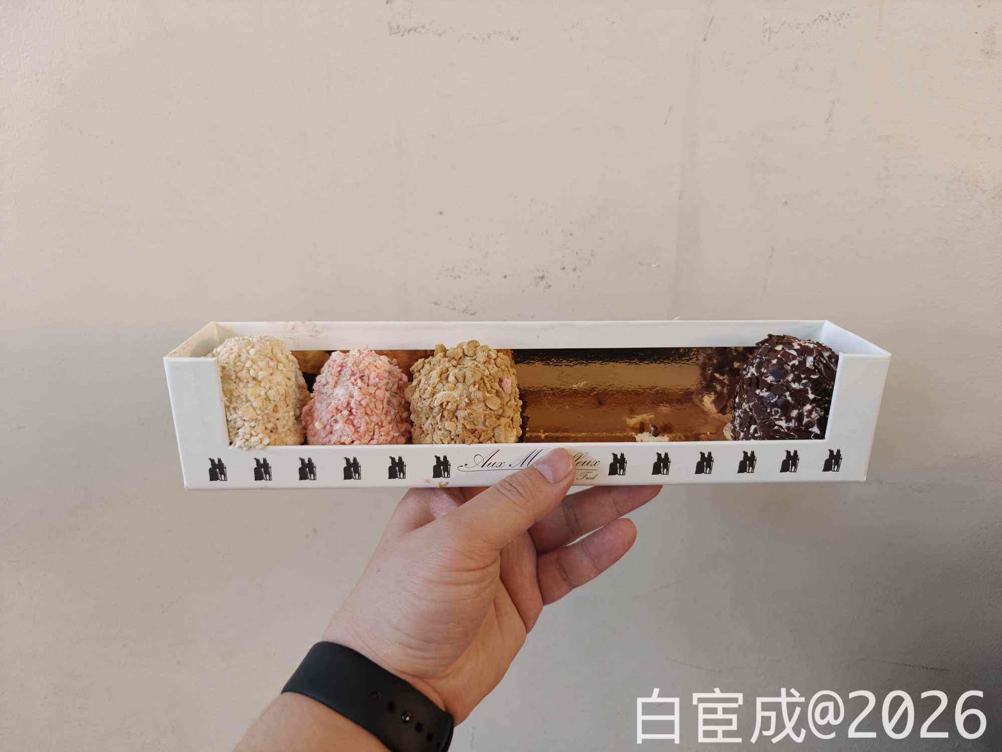 2026 欧洲之旅 Day 5:求求了 Lourve ! - 19 IMG20260219160820